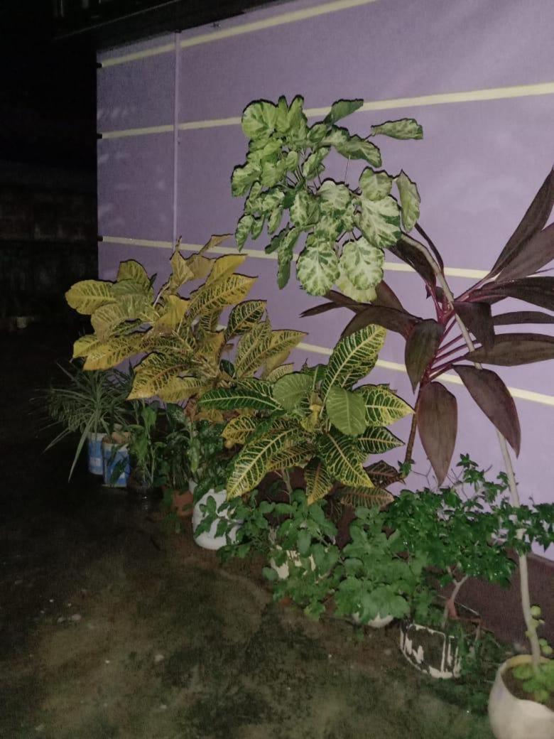 Vian Homestay Honavar Экстерьер фото